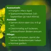 Samenshop24® Gelbsenf, Inhalt: 2kg für ca. 400m² Produktbild-Vorschau 4
