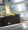 Prosperplast Blumenkasten RATO CASE Weiß 60 cm Produktbild-Vorschau 25
