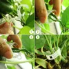100 Stück Tomatenclips, Pflanzenclips, Wachstumsclips für Produktbild-Vorschau 5