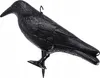A black plastic crow decoy on a white background. Podgląd zdjęcia produktu