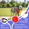 Reichstadt  RS Pets Hundegeschirr & Leinen Set 25RSP083-4 Produktbild-Vorschau 5