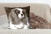 MuchoWow® Zierkissen Sofakissen Wohnzimmer Dekokissen 60x60 Produktbild-Vorschau 4