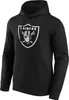 Las Vegas Raiders Primary Logo Graphic Hoodie v3 Produktbild-Vorschau 2