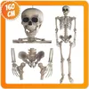 Scheletro decorativo 160 cm - Decorazione per feste e Anteprima dell’immagine prodotto 4