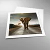 Poster - Poster ohne Rahmen - Elefant Straße Landschaft - Produktbild-Vorschau 3