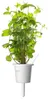EMSA Click & Grow Peppermint Anteprima dell’immagine prodotto 7