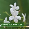 Kitama Aroma Massageöl Dok Mok Wasserjasmin 250ml I Produktbild-Vorschau 3