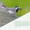 WILDLIFE FRIEND | Nistkasten für Rotkehlchen & Produktbild-Vorschau 5