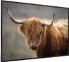 MuchoWow® MuchoWow® Gerahmtes Poster Schottisches Produktbild-Vorschau 8