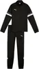 Puma Team Rise Trainingsanzug Schwarz 13-14 Years Jungen Produktbild-Vorschau 1