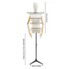 Mannequins Porte-manteaux Corps pour boutiques, magasins de Voir les images du produit 2