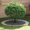 vidaXL, adatto per anelli di sostegno per alberi a basso Anteprima dell’immagine prodotto 2