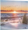 Bilder auf glas - Einteilig - Sonne Strand Vögel - 50x50cm Produktbild-Vorschau 1