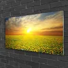 Stampe su vetro acrilico 100x50: quadro decorativo, stampa Anteprima dell’immagine prodotto 2