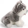 Carl Dick Husky sitzend ca. 19cm 2887 Kuscheltier, Produktbild-Vorschau 6