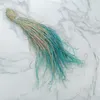 Federgras Getrocknete - (Stipa pennata) - Minze Produktbild-Vorschau 2
