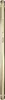 A close-up, vertical shot of a gold-colored smartphone. Produktbild-Vorschau