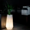 Monumo®️ Vaso di fiori luminoso grande 75 x 41 cm | adatto Anteprima dell’immagine prodotto 6