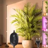 Pflanzenlampe LED Vollspektrum, 216LEDs 122CM Stehende Produktbild-Vorschau 1
