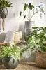 Mica Decorations Avalon Pflanzenkorb - 3er-Set - H32 x Ø44 Produktbild-Vorschau 2