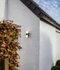 An outdoor wall light is mounted on the corner of a white brick house, next to a bush with brown leaves. Anteprima dell’immagine prodotto