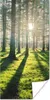 MuchoWow® Poster Bäume - Natur - Wald 40x80 cm - Dekoration Produktbild-Vorschau 1