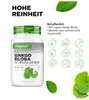 Vit4ever Ginkgo Biloba 365 comprimés Voir les images du produit 3