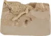 Große Dinosaurier-Figur - Ausgrabungsaufdruck MIX Produktbild-Vorschau 14