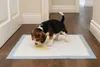 Karlie Training Pads Puppy M Trempage Transparent 60x40 cm Voir les images du produit 2