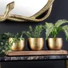riess-ambiente 3er Set Schalen ORIENT 45cm gold mit Tablett Produktbild-Vorschau 1