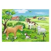Bambini animali in campagna Ravensburger 07582 Anteprima dell’immagine prodotto 3
