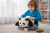 Interaktiver KI-Panda mit ChatGPT – Elektronisches Produktbild-Vorschau 17