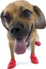 Pawz wasserfeste Hundeschuhe aus Naturkautschuk im Produktbild-Vorschau 5