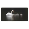 MuchoWow® Mauspad Mousepad Vögel - Schwan - Küken 60x30 cm Produktbild-Vorschau 1