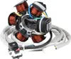 Lichtmaschine Stator Ankerplatte für Piaggio Liberty Produktbild-Vorschau 2