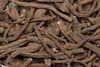 HUGRO NT Löwenzahnwurzeln 250 g | Einzelfuttermittel für Produktbild-Vorschau 2