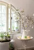 An Easter-themed display with a decorated branch, flowers, and eggs, placed near a window and a table with a pitcher and candle. Produktbild-Vorschau