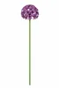 Gartenstecker Metall Allium lila Stecker Garten "ArtFerro" Produktbild-Vorschau 1