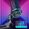 RGB Gaming Mikrofon mit Arm, 192kHz, Popfilter & Produktbild-Vorschau 3