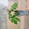 Winobluszcz  Redwal Troki 2L Podgląd zdjęcia produktu 5