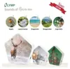 Olympia 8004 Olympia Sound of Nature Box XMAS Edition Podgląd zdjęcia produktu 8