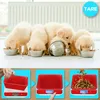 A collage showing puppies eating from bowls and a digital scale with instructions. Produktbild-Vorschau