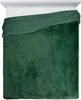 Chlupatá deka Tifany 1 170x210 cm tmavě zelená Náhled obrázku produktu 14