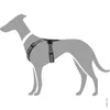 Hunter Maldon, Hund, Halftergeschirr, XS, Schwarz, Grau, Produktbild-Vorschau 8
