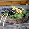 Haricots, mélange de différentes variétés, gousses de Voir les images du produit 10
