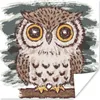 MuchoWow® Poster Illustration einer kleinen Eule 75x75 cm - Produktbild-Vorschau 1