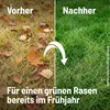 Substral Herbst Rasendünger 6,25 kg Produktbild-Vorschau 7