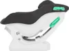 Detská autosedačka Graco Extend™ LX R129 Reboard (0-4 roky) Náhľad obrázku produktu 10