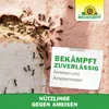Neudorff Nützlinge gegen Ameisen – 10 Mio. SF-Nematoden Produktbild-Vorschau 7