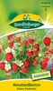 Monatserdbeere, Rügen Produktbild-Vorschau 3